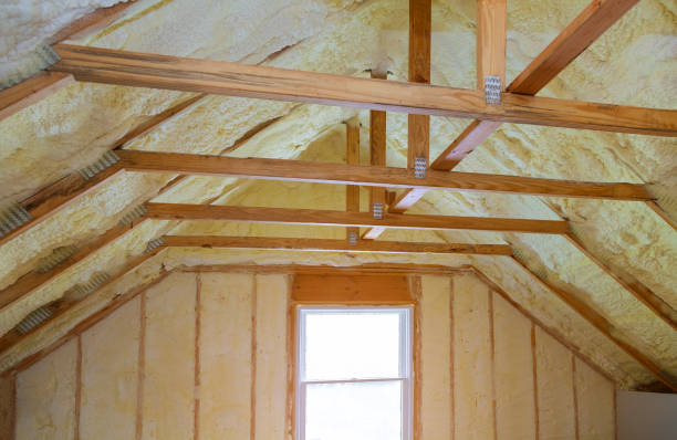 Best Geographic-Specific Insulation Services in Rocklin, CA