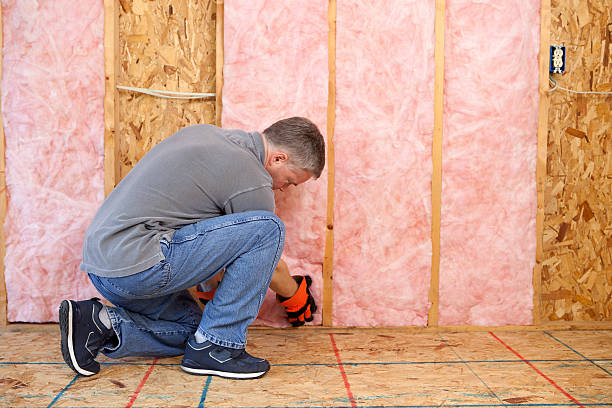 Best Energy Efficiency Insulation in Rocklin, CA