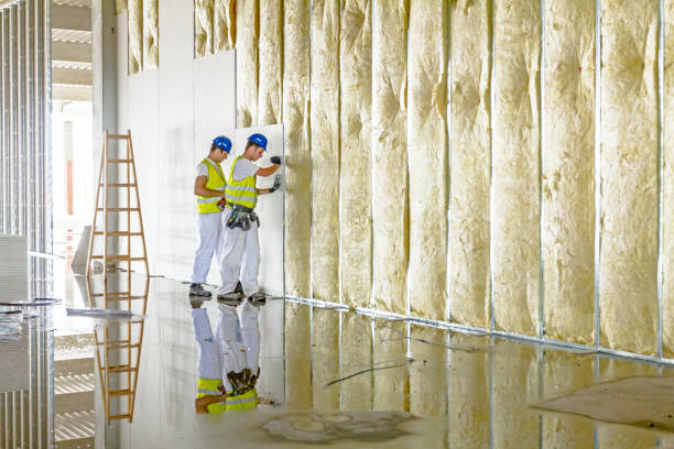Best Fiberglass Insulation in Rocklin, CA